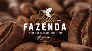 VISTA FAZENDA LOGO