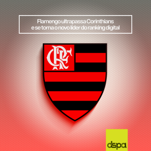 17 FLAMENGO