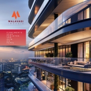 branding malavasi 2